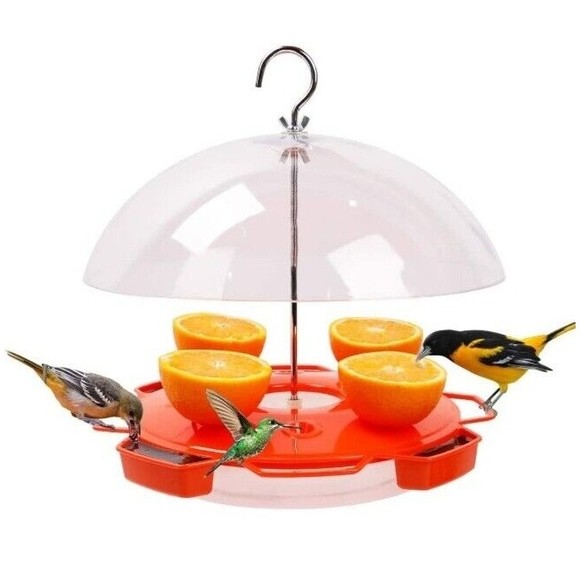 Unbranded Other Hummingbird Feeder Combination 3 Types Food Orange